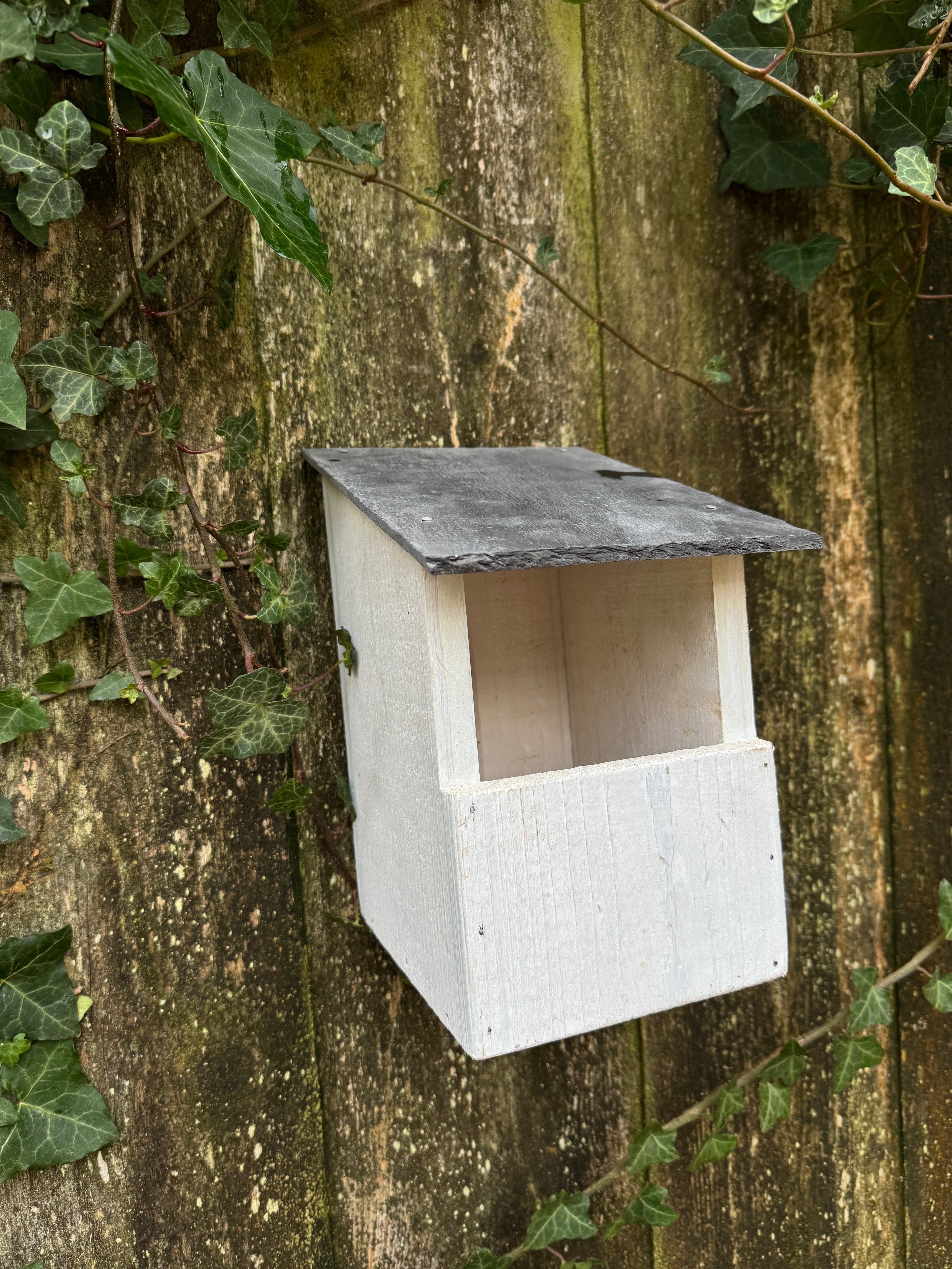Robin/Blackbird nesting box