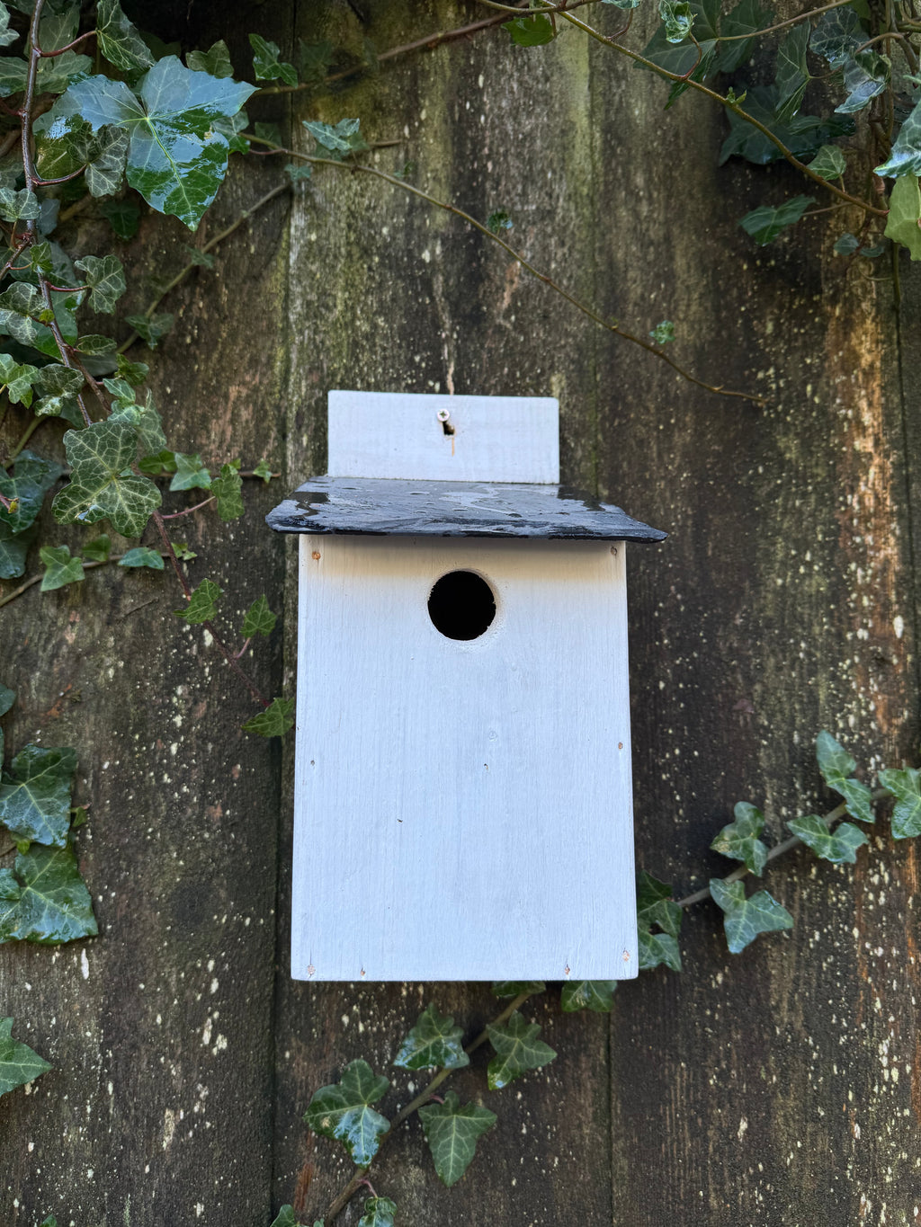 Handmade Wooden Bird Box for Great Tits & House Sparrows – Weatherproof Nesting Box for UK Gardens