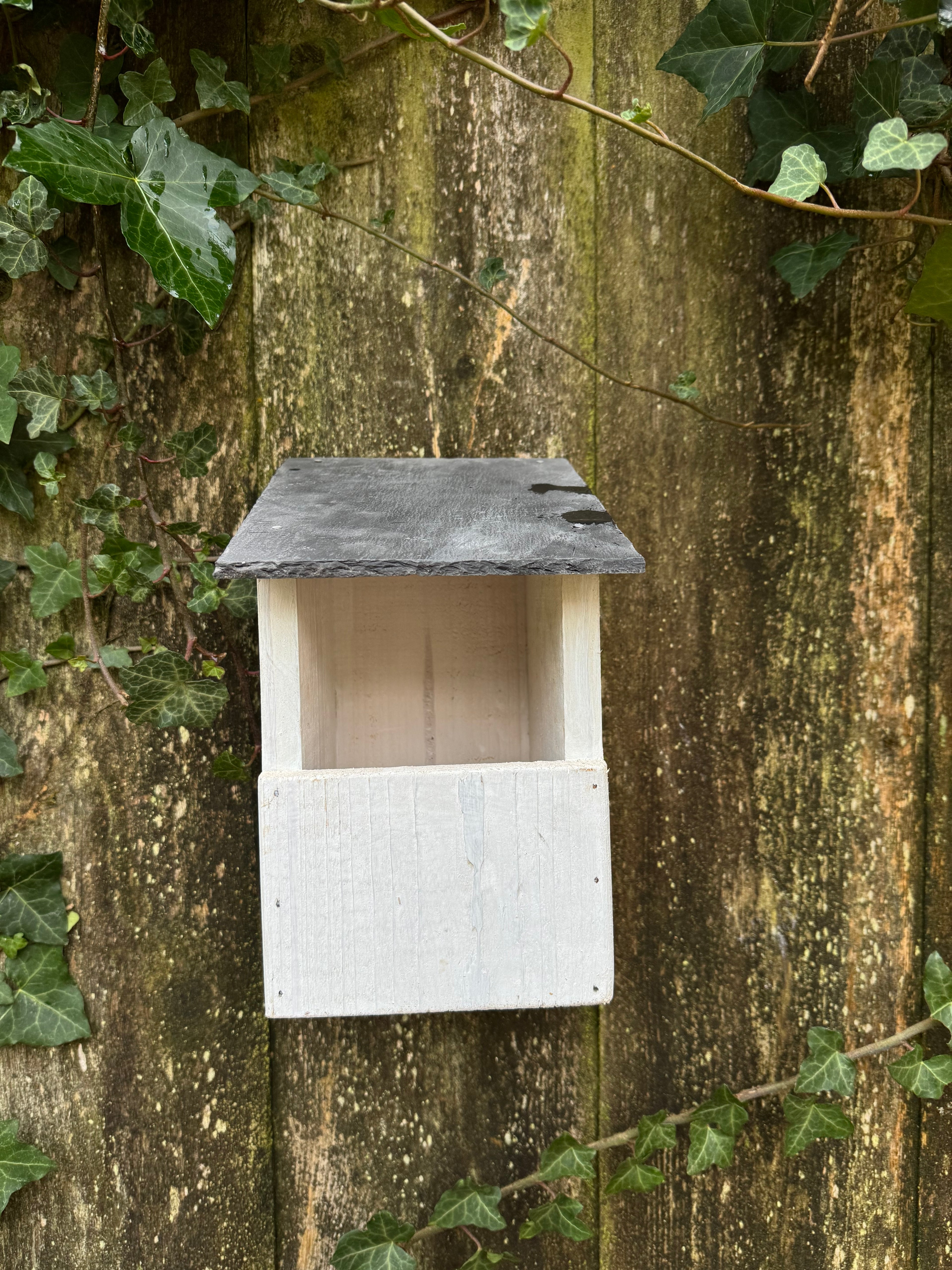 Robin/Blackbird nesting box