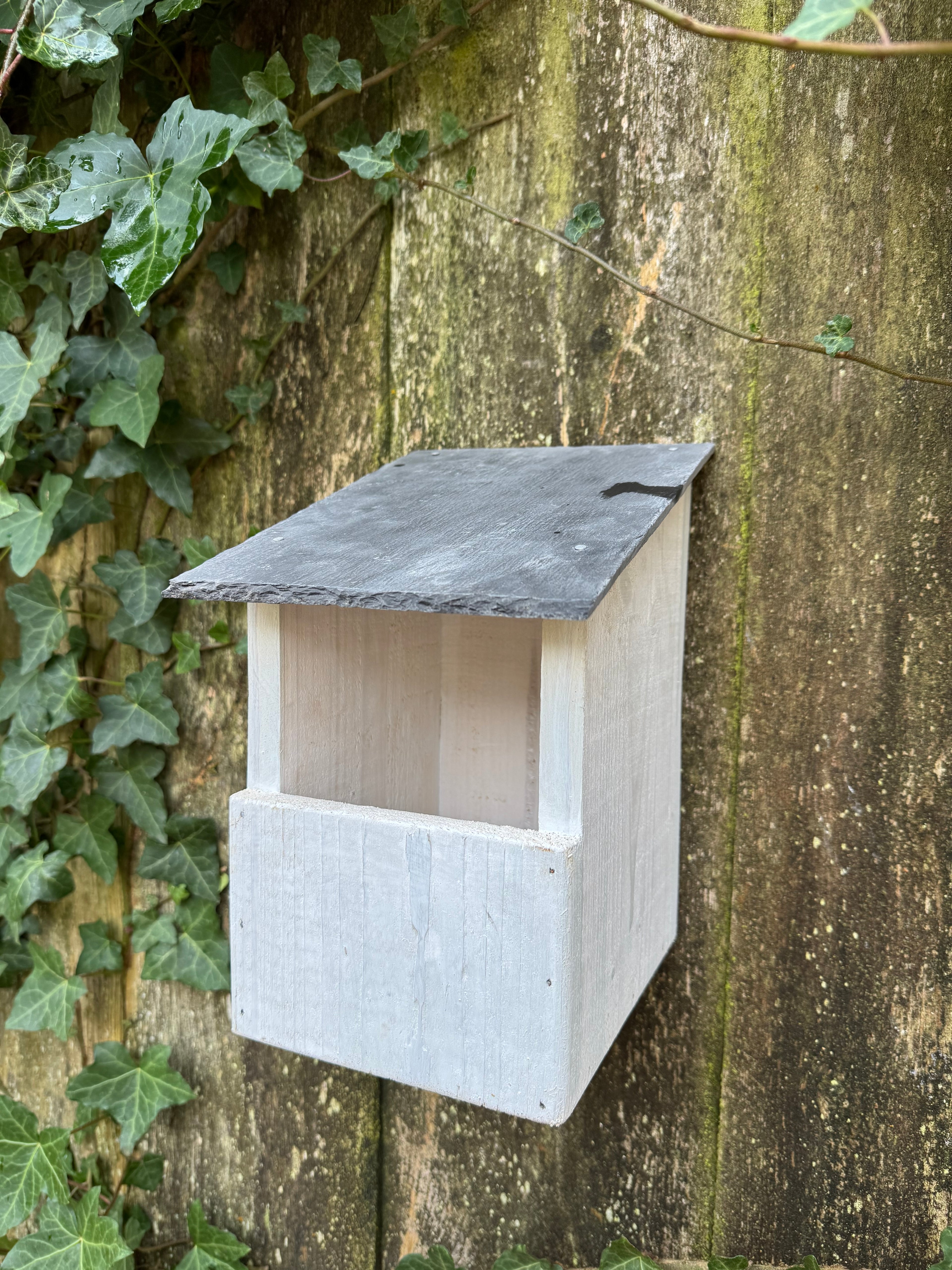 Robin/Blackbird nesting box