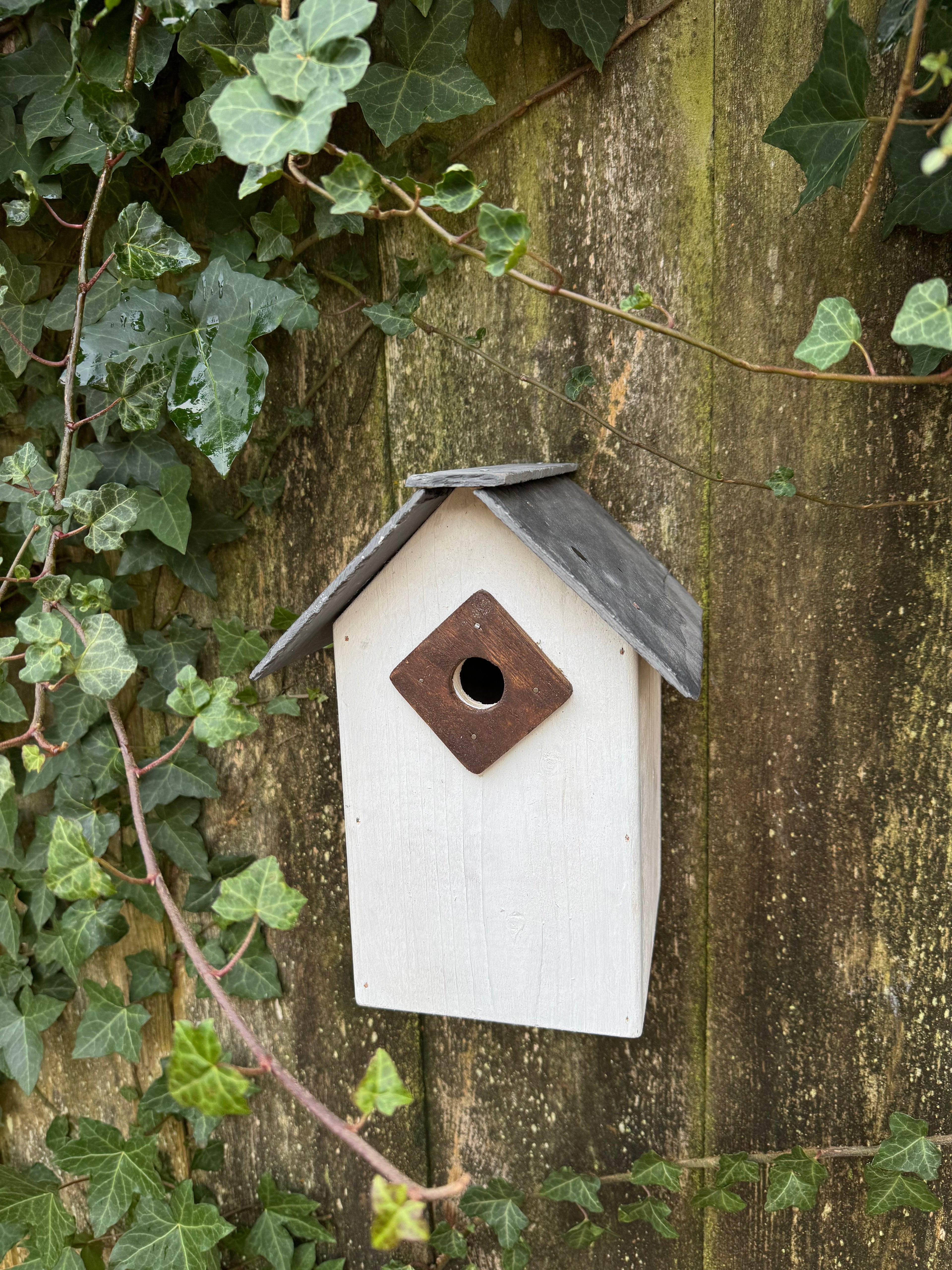 Handmade Slate-Roof Bird Box for Blue Tits & Willow Tits – Crafted in the Wye Valley