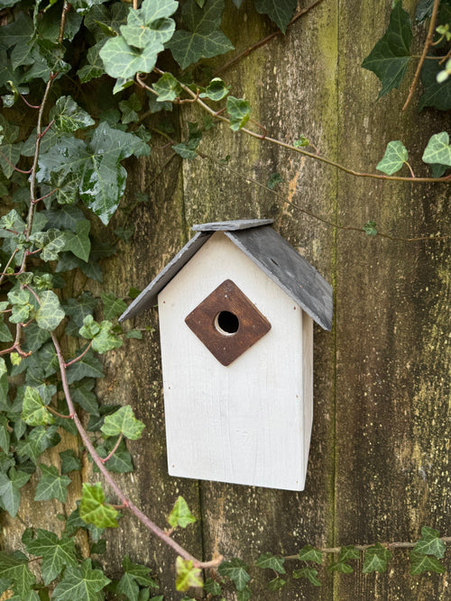 Handmade Slate-Roof Bird Box for Blue Tits & Willow Tits – Crafted in the Wye Valley