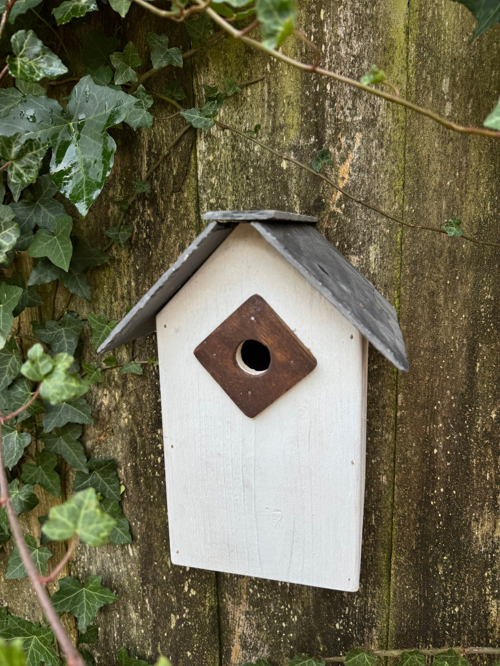 Handmade Slate-Roof Bird Box for Blue Tits & Willow Tits – Crafted in the Wye Valley