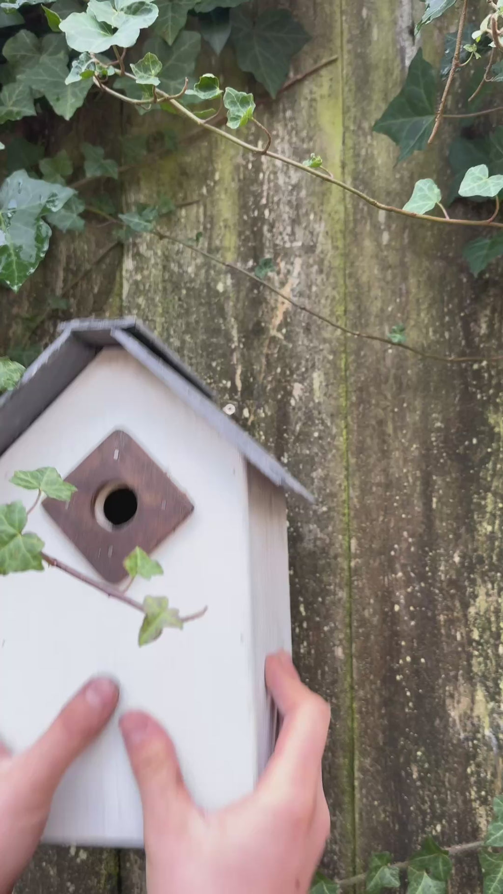Handmade Slate-Roof Bird Box for Blue Tits & Willow Tits – Crafted in the Wye Valley