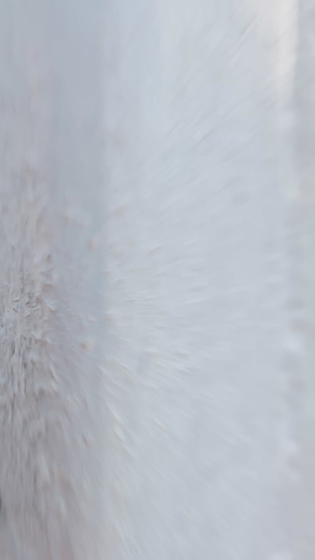 Handmade 12-hole Dovecote