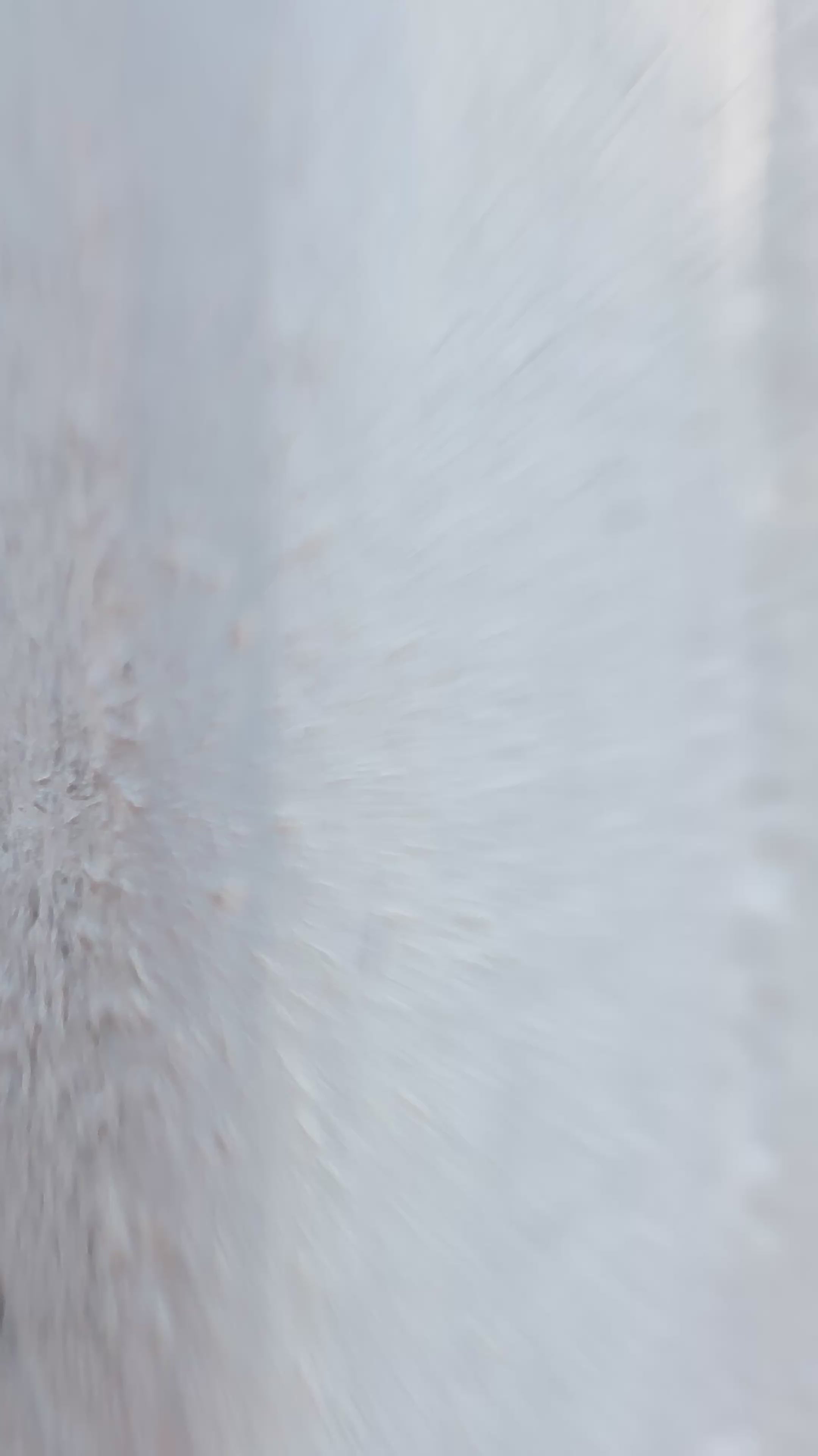 Handmade 12-hole Dovecote